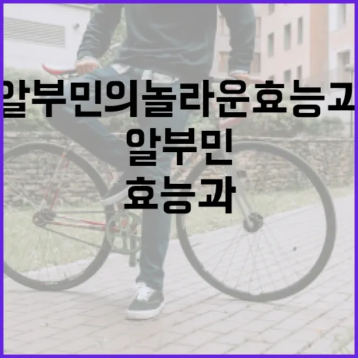 알부민의 놀라운 효능과 활용 방법 - 요약