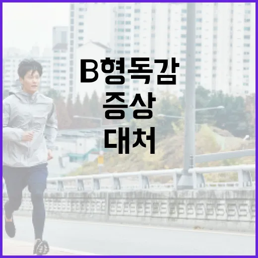 B형 독감 증상을 이해하고 대처하는 방법 - 요약