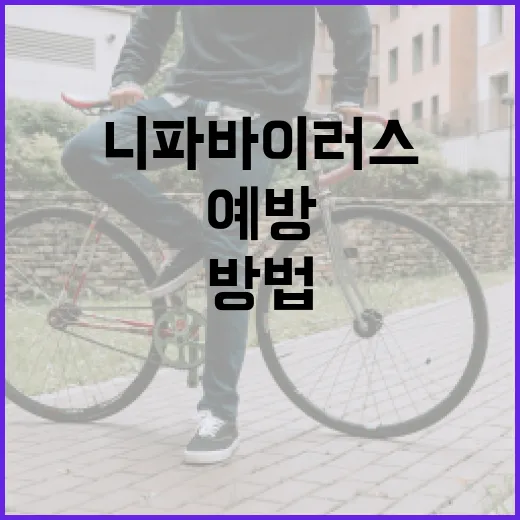 니파바이러스에 대해 알아보고 예방하는 방법 - 요약