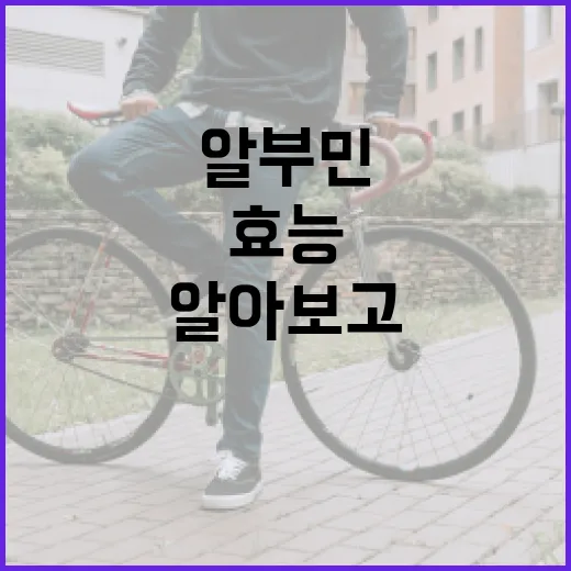 알부민의 효능을 알아보고 건강하게 활용하는 방법 - 요약