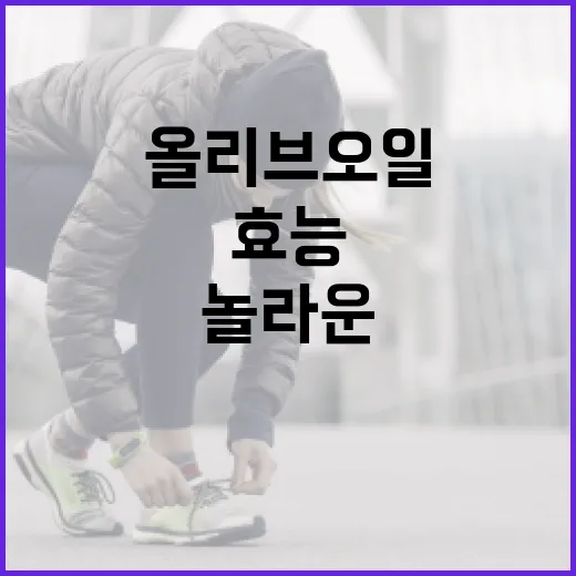 올리브오일의 놀라운 효능을 극대화하는 방법 - 요약