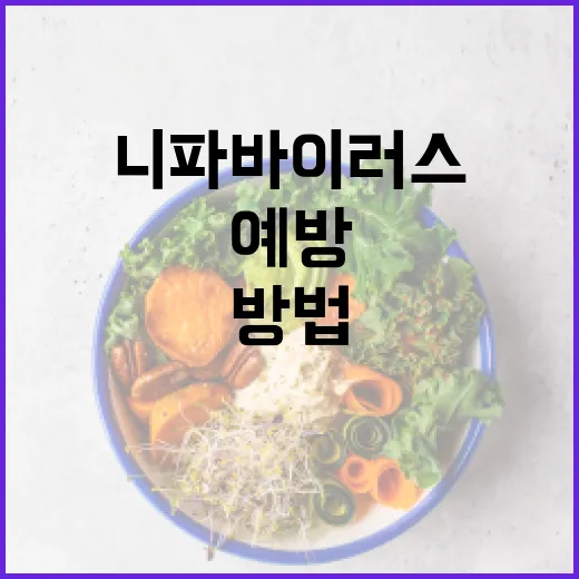 니파바이러스에 대해 알아보고 예방하는 방법 - 요약