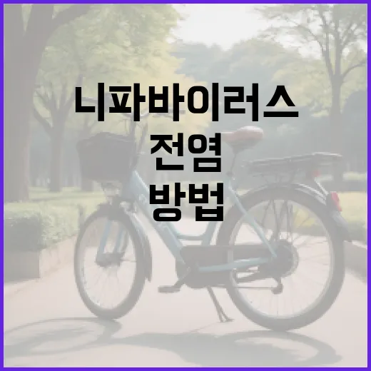 니파바이러스 전염을 예방하는 방법 - 요약