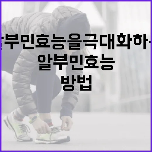 알부민 효능을 극대화하는 방법 - 요약