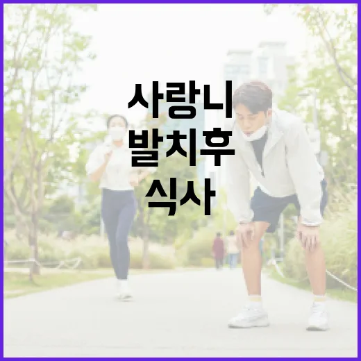 사랑니 발치 후 식사하는 방법 - 요약