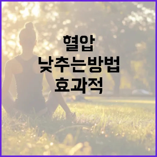 혈압을 효과적으로 낮추는 방법 - 요약