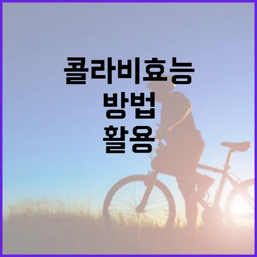 콜라비 효능을 최대한 활용하는 방법 - 요약