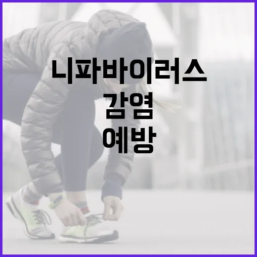 니파바이러스 감염을 예방하는 방법 - 요약