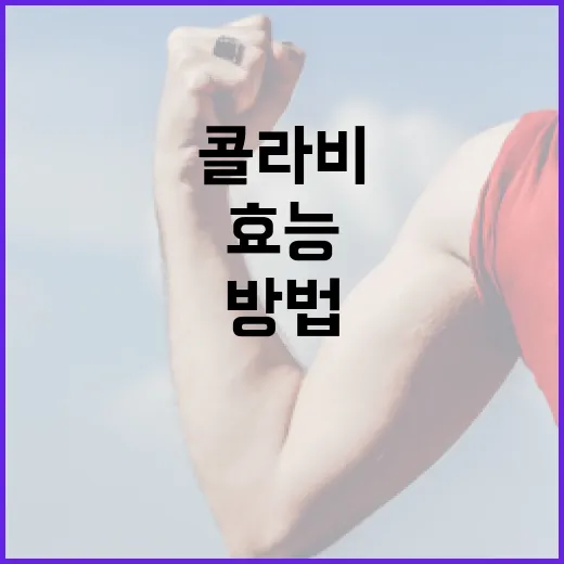 콜라비의 효능을 최대한 활용하는 방법 - 요약