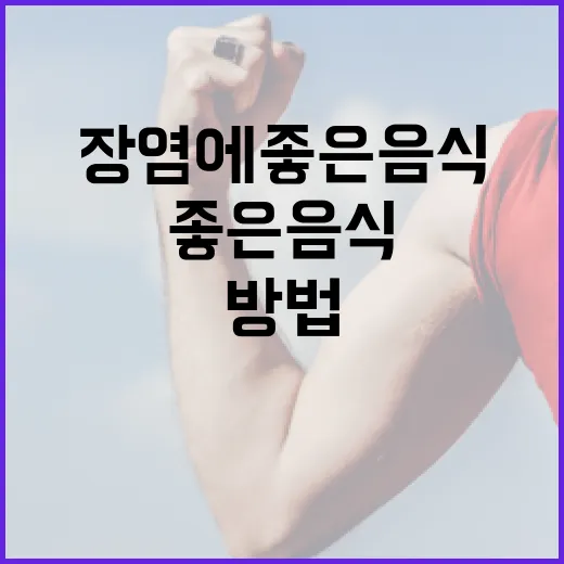 장염에 좋은 음식을 선택하는 방법 - 요약