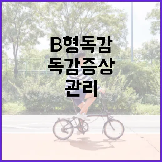 B형독감 증상을 이해하고 관리하는 방법 - 요약