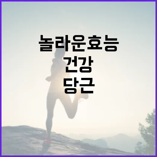 당근의 놀라운 효능: 건강을 위한 최고의 가이드 - 요약