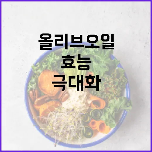 올리브오일의 효능을 최대화하는 방법 - 요약