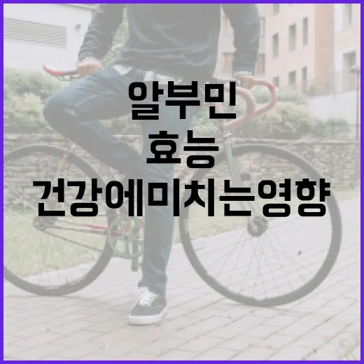 알부민의 효능과 건강에 미치는 영향 이해하기 - 요약