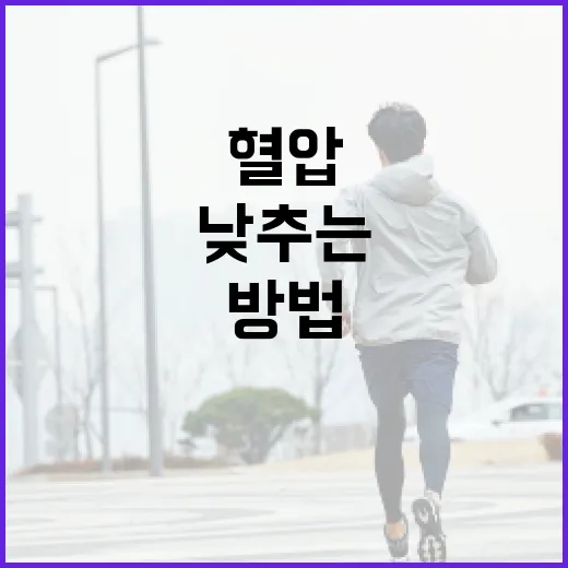 혈압을 낮추는 효과적인 방법 - 요약