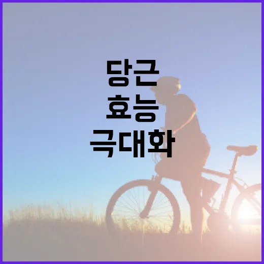건강을 위한 당근의 효능을 극대화하는 방법 - 요약
