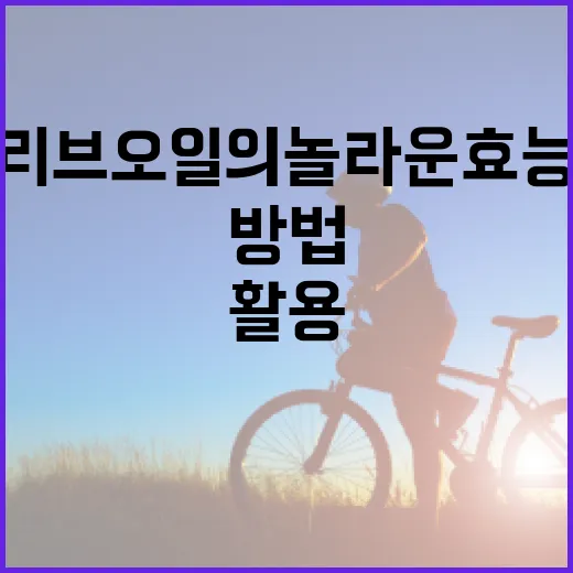 올리브오일의 놀라운 효능과 활용 방법 - 요약