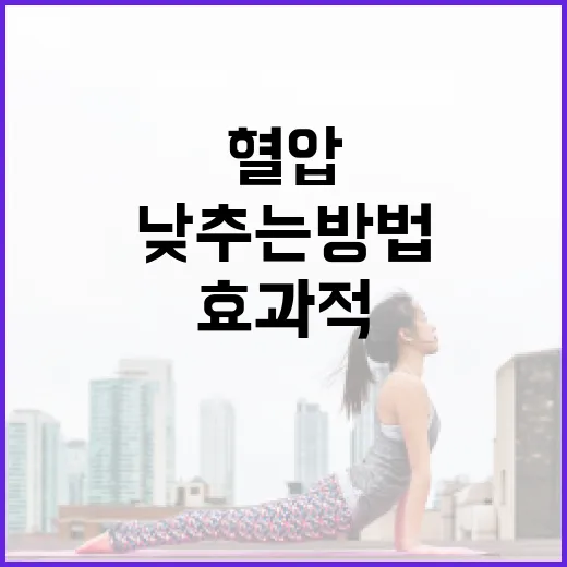 혈압을 효과적으로 낮추는 방법 - 요약