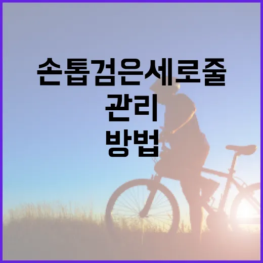 손톱 검은세로줄을 이해하고 관리하는 방법 - 요약