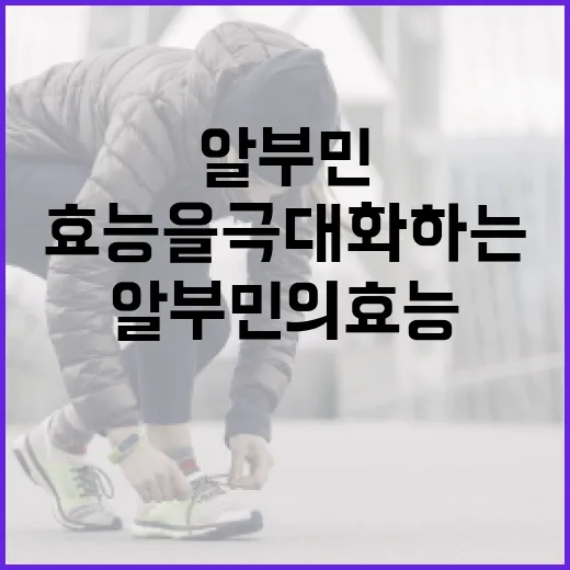 알부민의 효능을 극대화하는 방법 - 요약