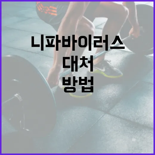 니파바이러스에 대처하는 방법: 예방과 관리 - 요약