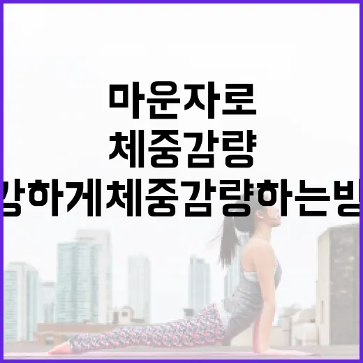 마운자로를 통해 건강하게 체중 감량하는 방법 - 요약