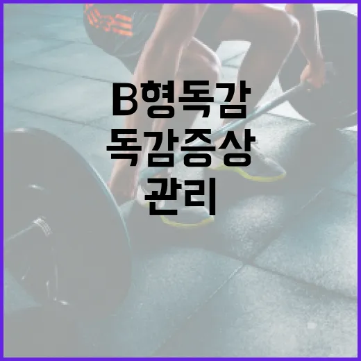 B형 독감 증상을 이해하고 관리하는 방법 - 요약