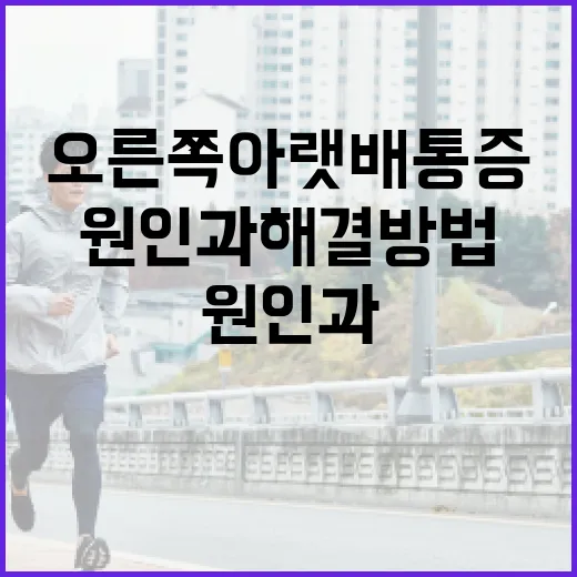오른쪽 아랫배 통증의 원인과 해결 방법 - 요약