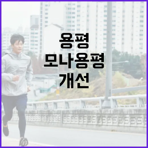 모나용평 이나트를 활용하여 건강 개선하는 방법 - 요약