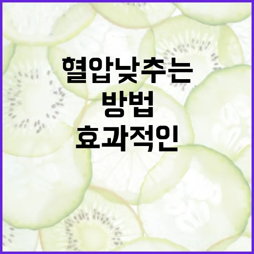 혈압 낮추는 효과적인 방법 - 요약