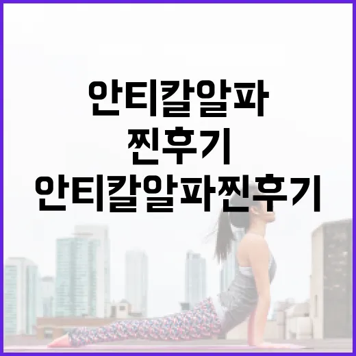 안티칼알파 찐후기: 효과적으로 활용하는 방법과 주의사항 - 요약
