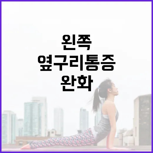 왼쪽 옆구리 통증을 완화하는 방법 - 요약