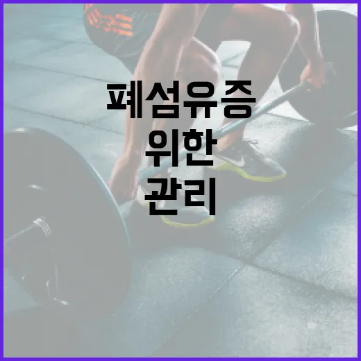 폐섬유증을 관리하는 방법: 건강한 생활을 위한 가이드 - 요약