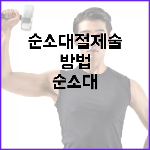 순소대 절제술을 안전하게 받는 방법 - 요약