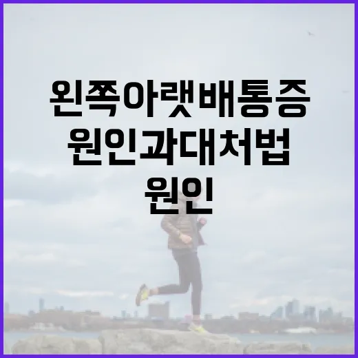 왼쪽 아랫배 통증을 완화하는 방법: 원인과 대처법 - 요약