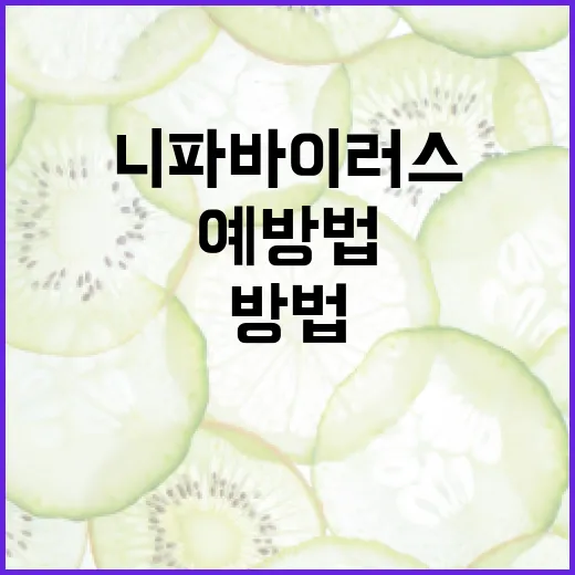 니파바이러스에 대처하는 방법: 예방법과 관리법 - 요약