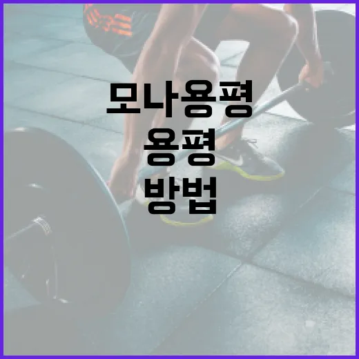 모나용평 이나트를 통해 건강을 관리하는 방법 - 요약