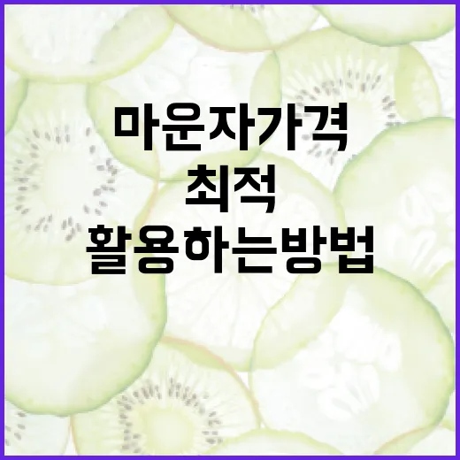 마운자 가격을 이해하고 최적 활용하는 방법 - 요약