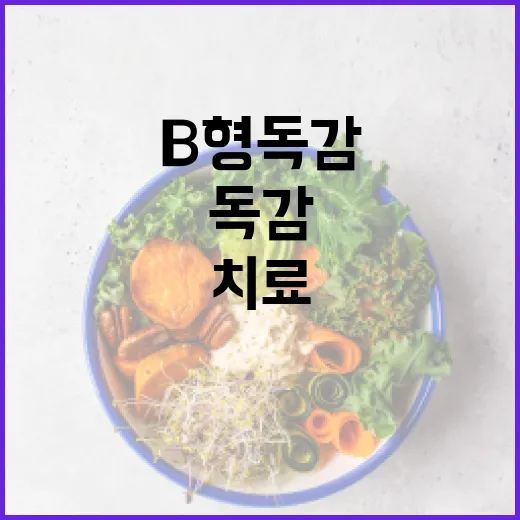 B형 독감을 예방하고 치료하는 방법 - 요약