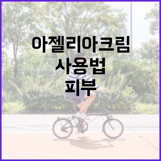 아젤리아크림 사용법: 건강한 피부를 위한 전문가의 조언 - 요약