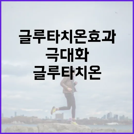 글루타치온 효과를 극대화하는 방법 - 요약
