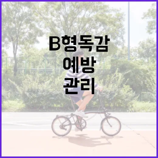 B형 독감을 예방하고 관리하는 방법 - 요약