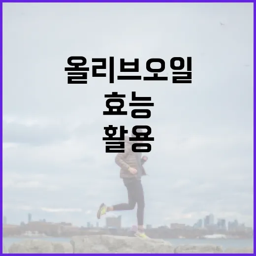 올리브오일의 효능을 최대한 활용하는 방법 - 요약