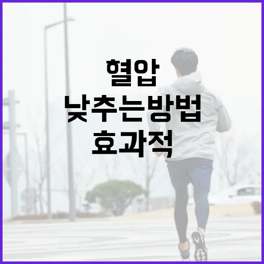 혈압을 효과적으로 낮추는 방법 - 요약