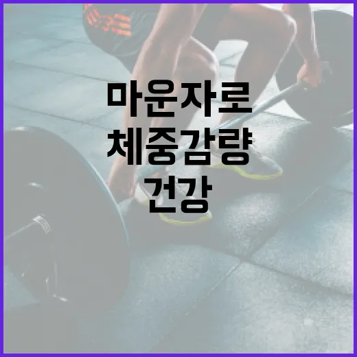 마운자로를 활용하여 건강하게 체중 감량하는 방법 - 요약