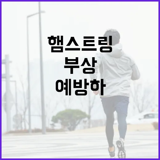 햄스트링 부상을 예방하고 관리하는 방법 - 요약