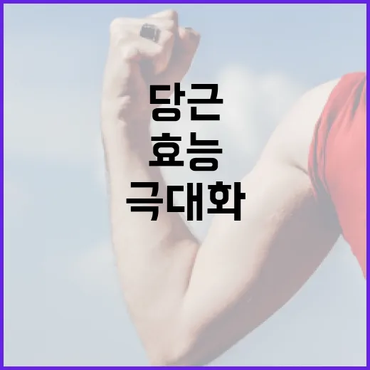 당근의 효능을 극대화하는 방법 - 요약