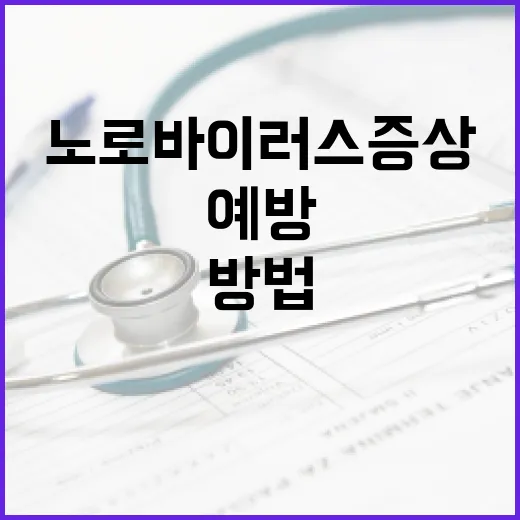 노로바이러스 증상 알아보고 예방하는 방법 - 요약