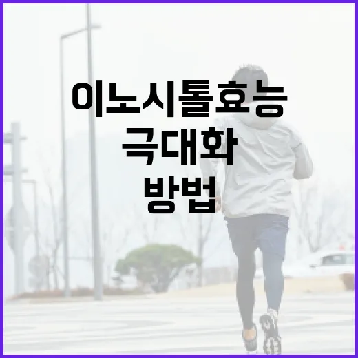 이노시톨 효능을 극대화하는 방법 - 요약
