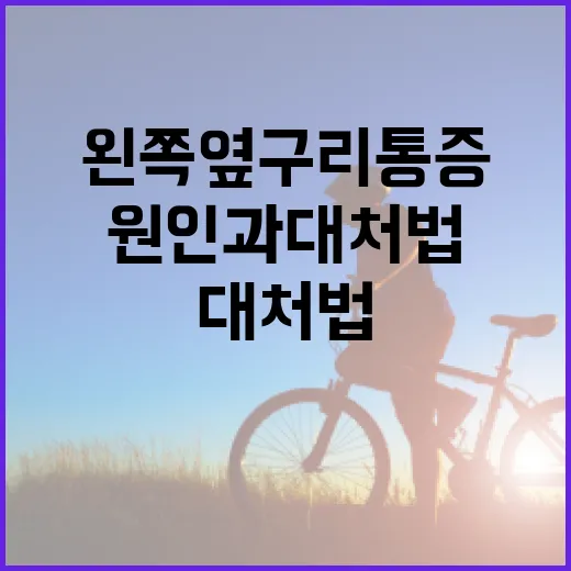 왼쪽 옆구리 통증 해결 방법: 원인과 대처법 - 요약